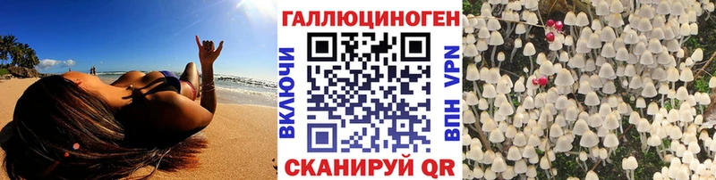 продажа наркотиков  Ленинск-Кузнецкий  Псилоцибиновые грибы ЛСД 