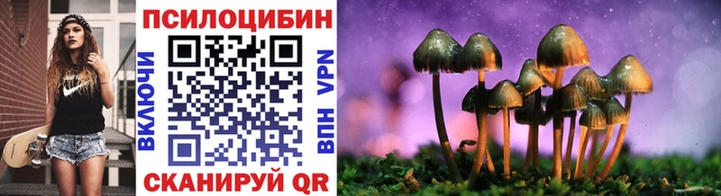 Псилоцибиновые грибы мухоморы Ленинск-Кузнецкий